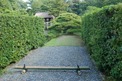 K. ENSHU, KYOTO: TREE'S BARRAGE GROUND SIDE