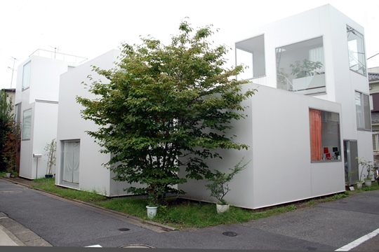R. NISHIZAWA,TOKYO: THE QUESTION OF THE CORNER: A TREE