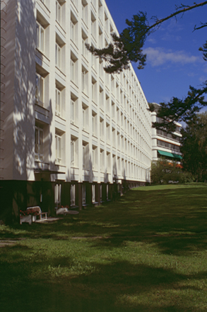 A. AALTO, PAIMIO: FRONT WINDOWS SEQUENCE