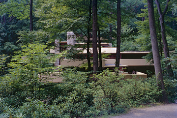 F. L. WRIGHT, BEAR RUN: ARRIVAL THROUGH TREES