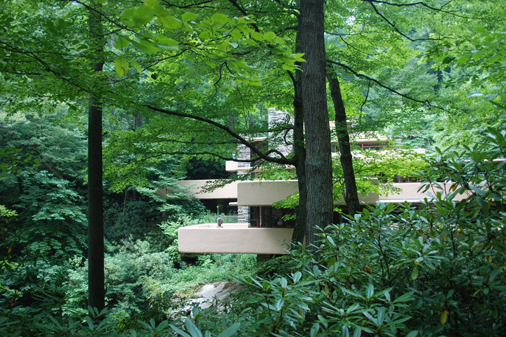 F. L. WRIGHT, BEAR RUN: APPEARING TROUGH TREES