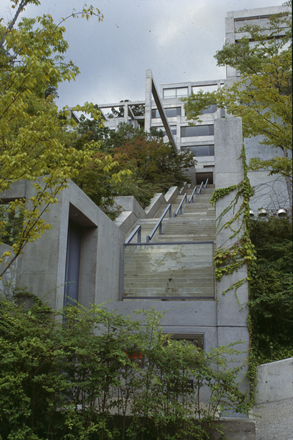 T. ANDO, ROKKO II: STAIRCASE INTO THE HILL