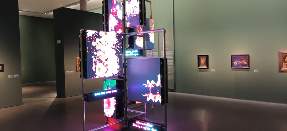 HITO STEYERL
