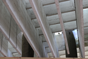 SVERRE FEHN, VENICE: ROOF WITH EMERGING TREES