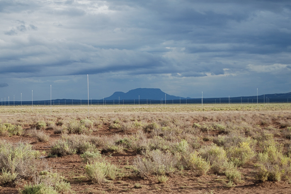 WALTER DE MARIA, QUEMADO: POLE NET