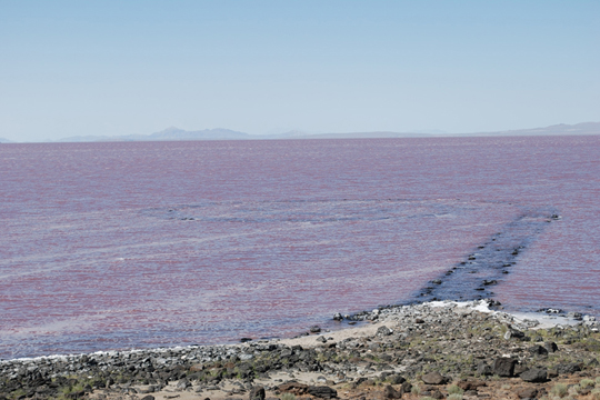 R. SMITHSON, SALT LAKE: THE WATER COMES RIGHT UP TO MAINLAND