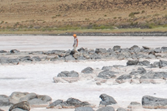 R. SMITHSON, SALT LAKE: WOMAN WALKING