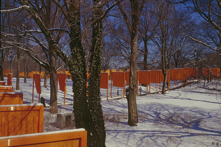 CHRISTO AND JANNE-CLAUDE, NEW YORK: DANCING AROUND TREES