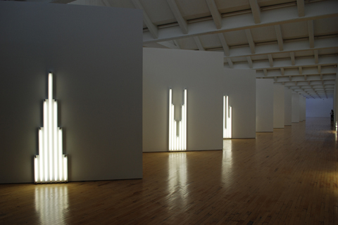 R. IRWING, BACON NY: COMING FROM DAN FLAVIN HALL