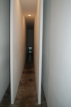 R. IRWING, BACON NY: BRUCE NAUMANN CORRIDOR (installation, 1970)