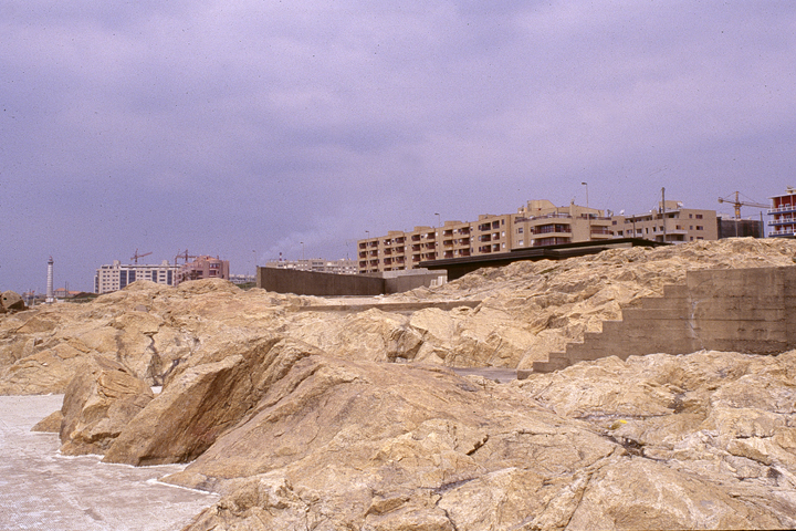 . SIZA, LEA DA PALMEIRA: LIVING BETEWWE OCEAN AND NEW TOWN